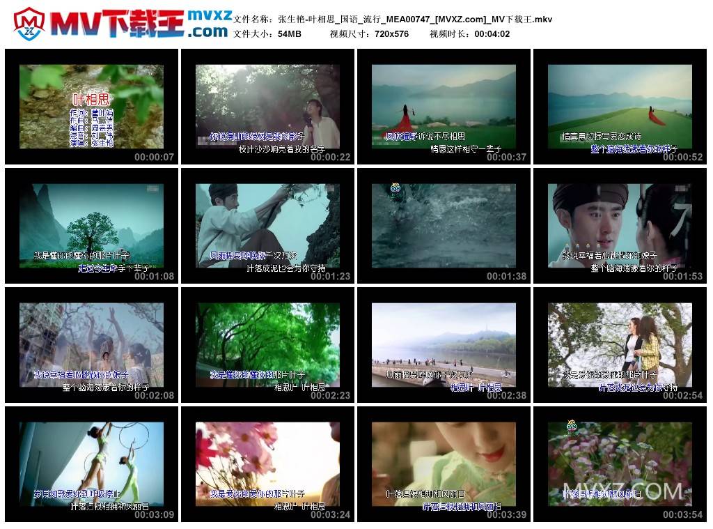 张生艳-叶相思_国语_流行_MEA00747